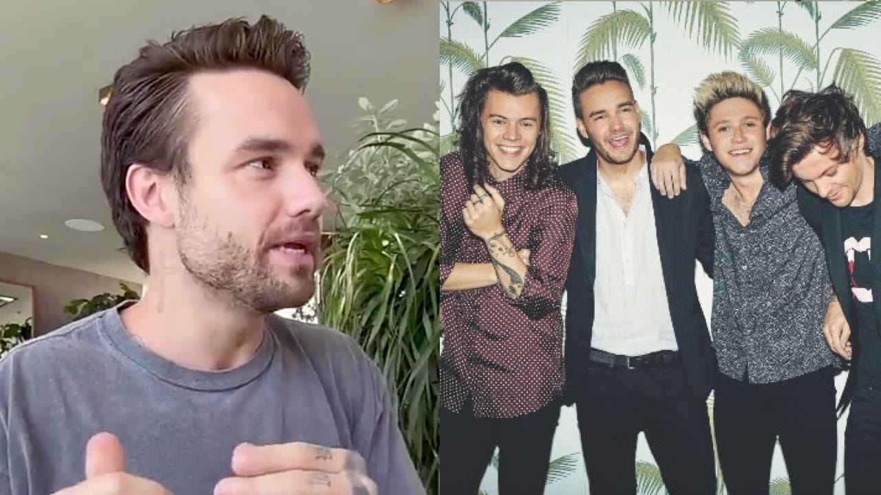 Zayn Malik, Niall Horan, Harry Styles y Louis Tomlinson fueron sus compañeros de banda desde 2010 a 2016