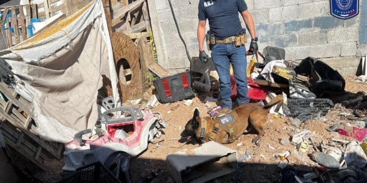 Los mandatos judiciales se cumplimentaron en Urbivilla del Cedro y Finca Bonita