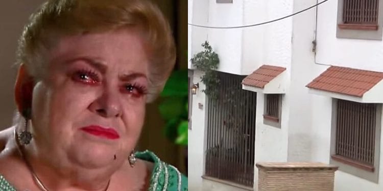 Así luce la casa donde murió Paquita la del Barrio en Xalapa, Veracruz - El Canal de las Noticias Digital