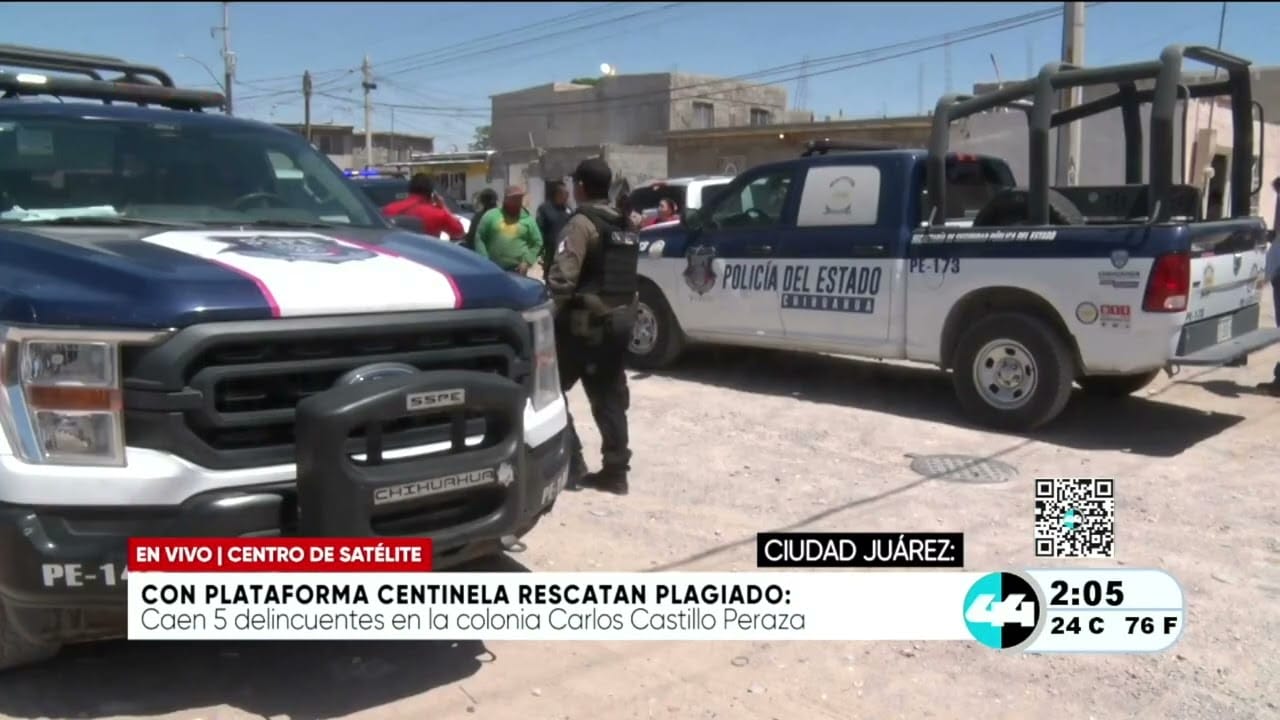 Con plataforma C rescatan plagiado