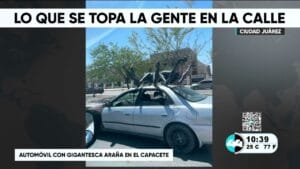 Lo que se topa la gente en la calle. Noticias en tiempo real