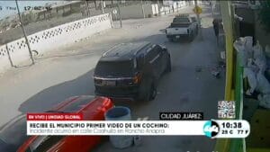 Recibe municipio primer video de un cochino. Noticias en tiempo real
