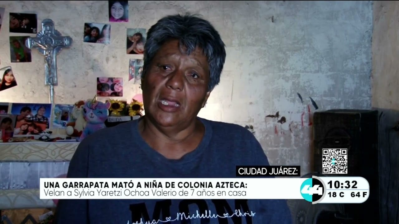 Una garrapata mató a niña en colonia Azteca