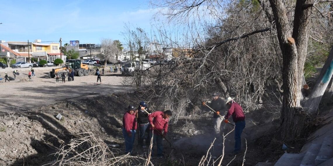 Juárez Amanece Limpio retira más de 13 mil llantas y miles de toneladas de residuos en una jornada